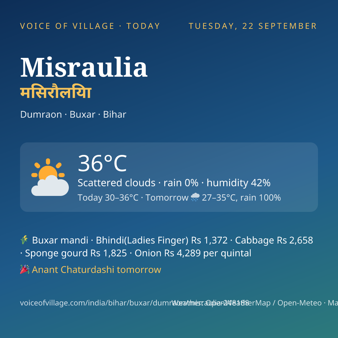 Misraulia today