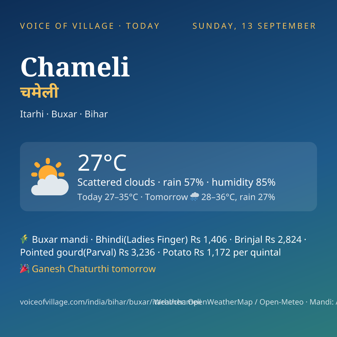 Chameli today
