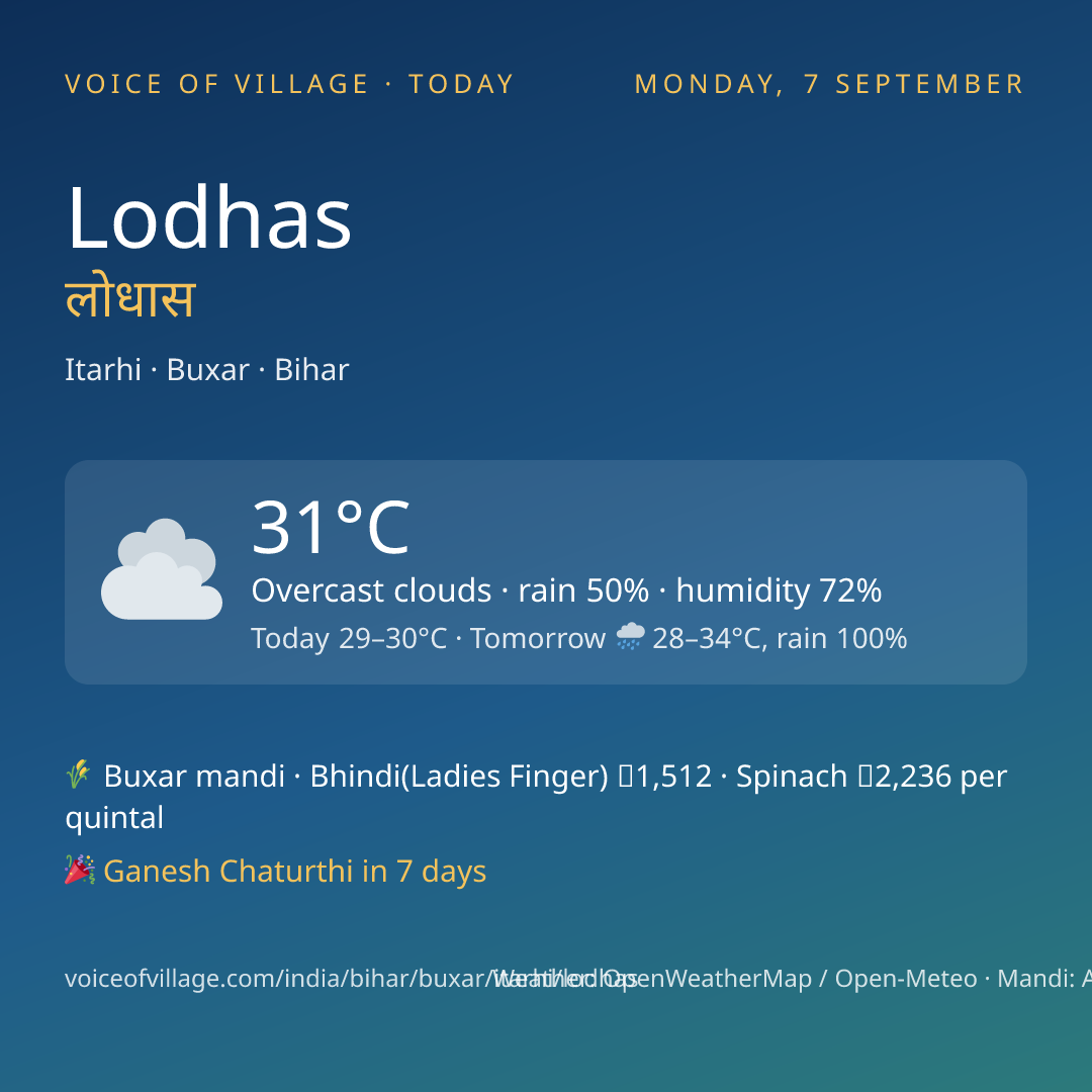 Lodhas today