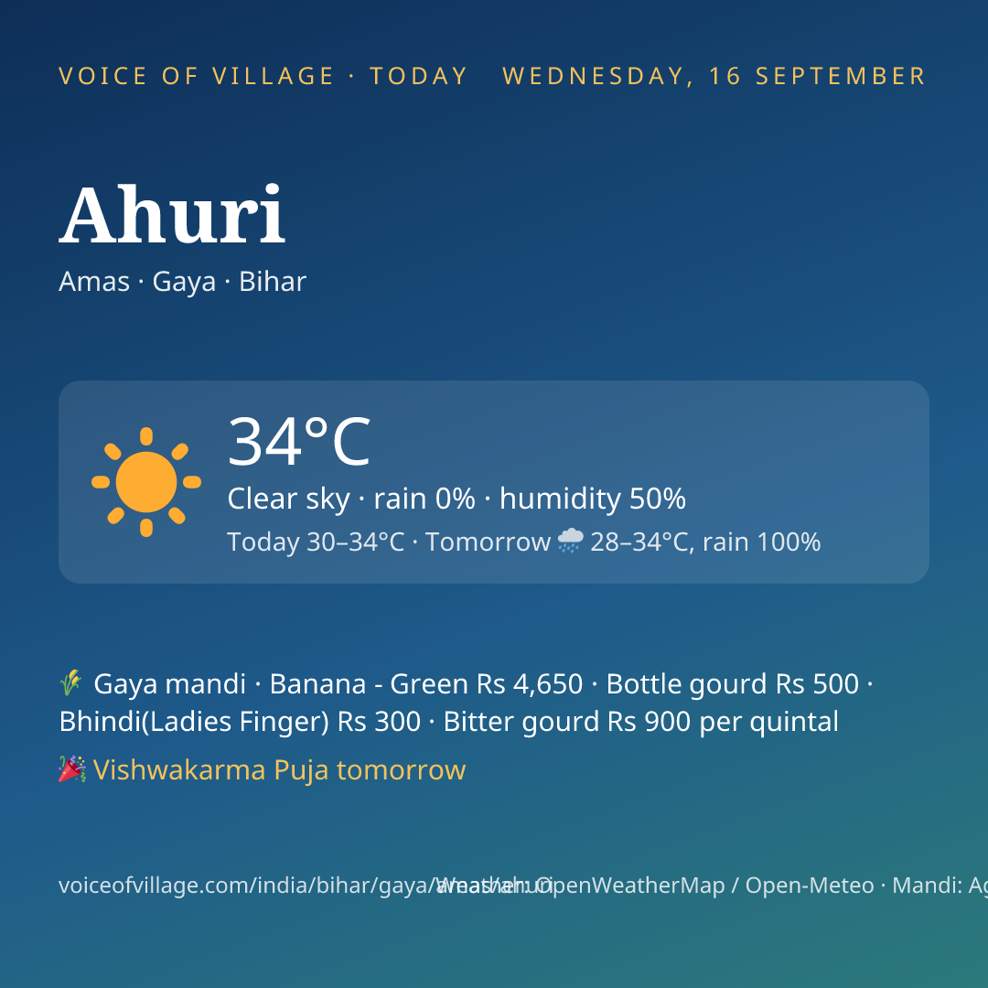 Ahuri today