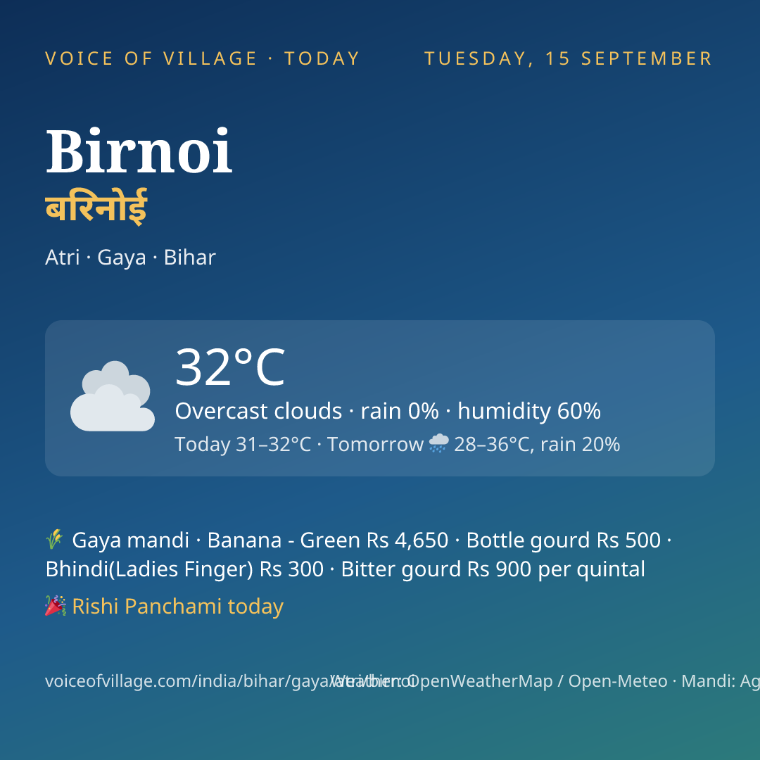 Birnoi today