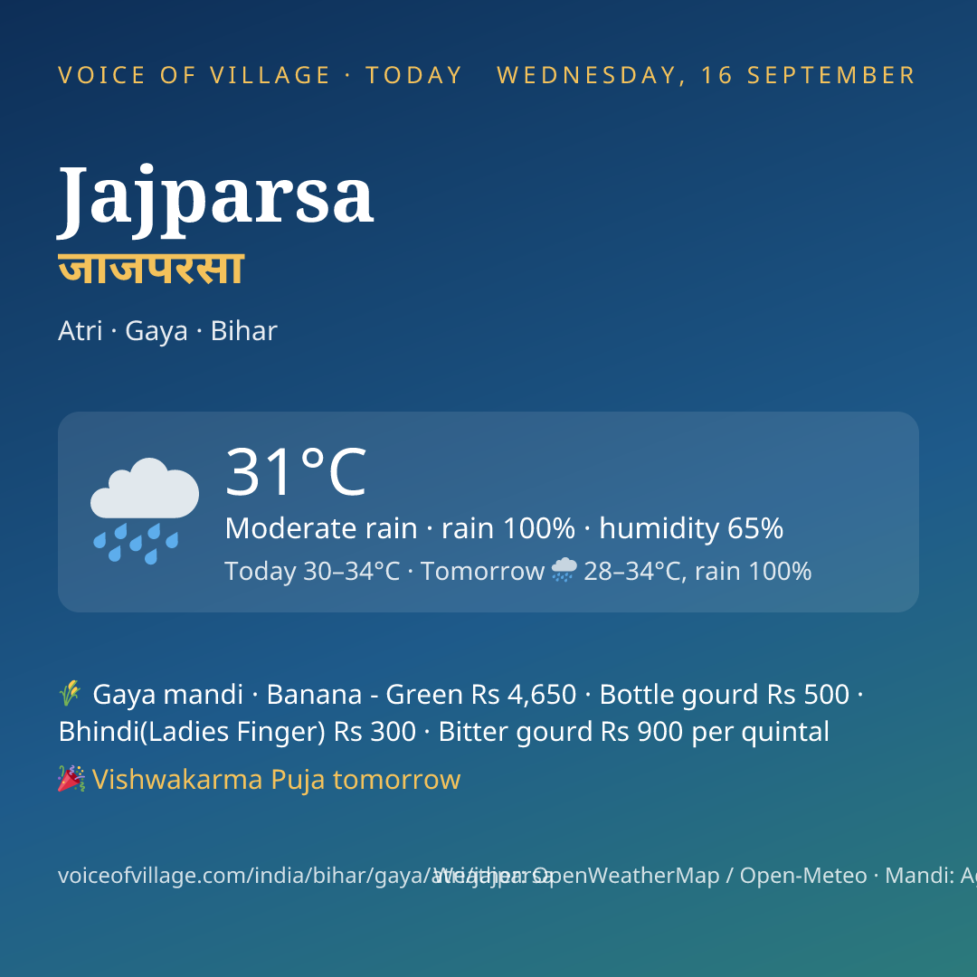 Jajparsa today