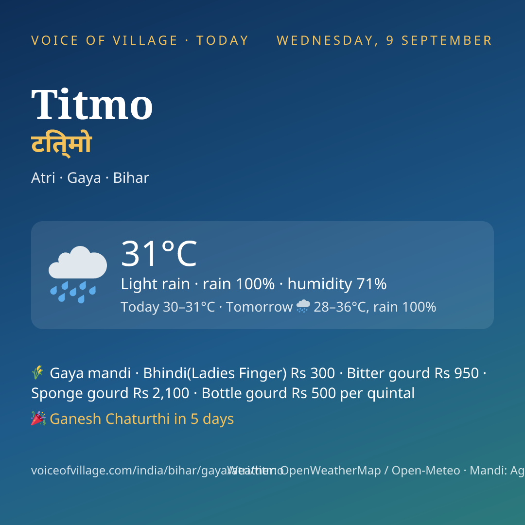 Titmo today