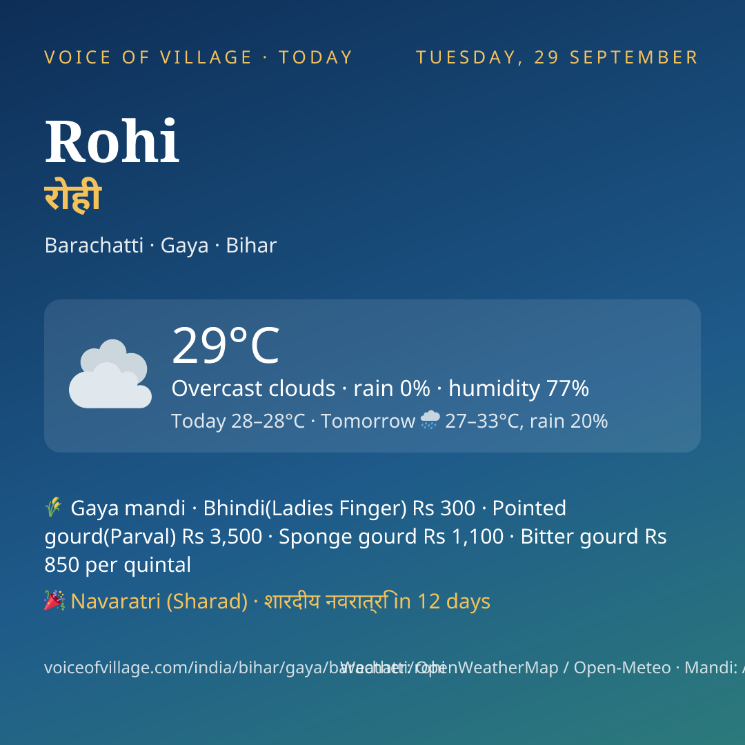 Rohi today