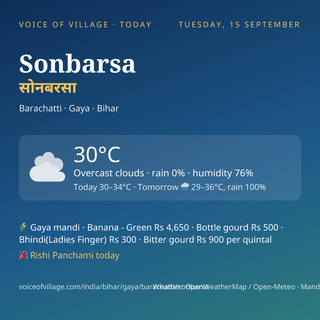 Sonbarsa today