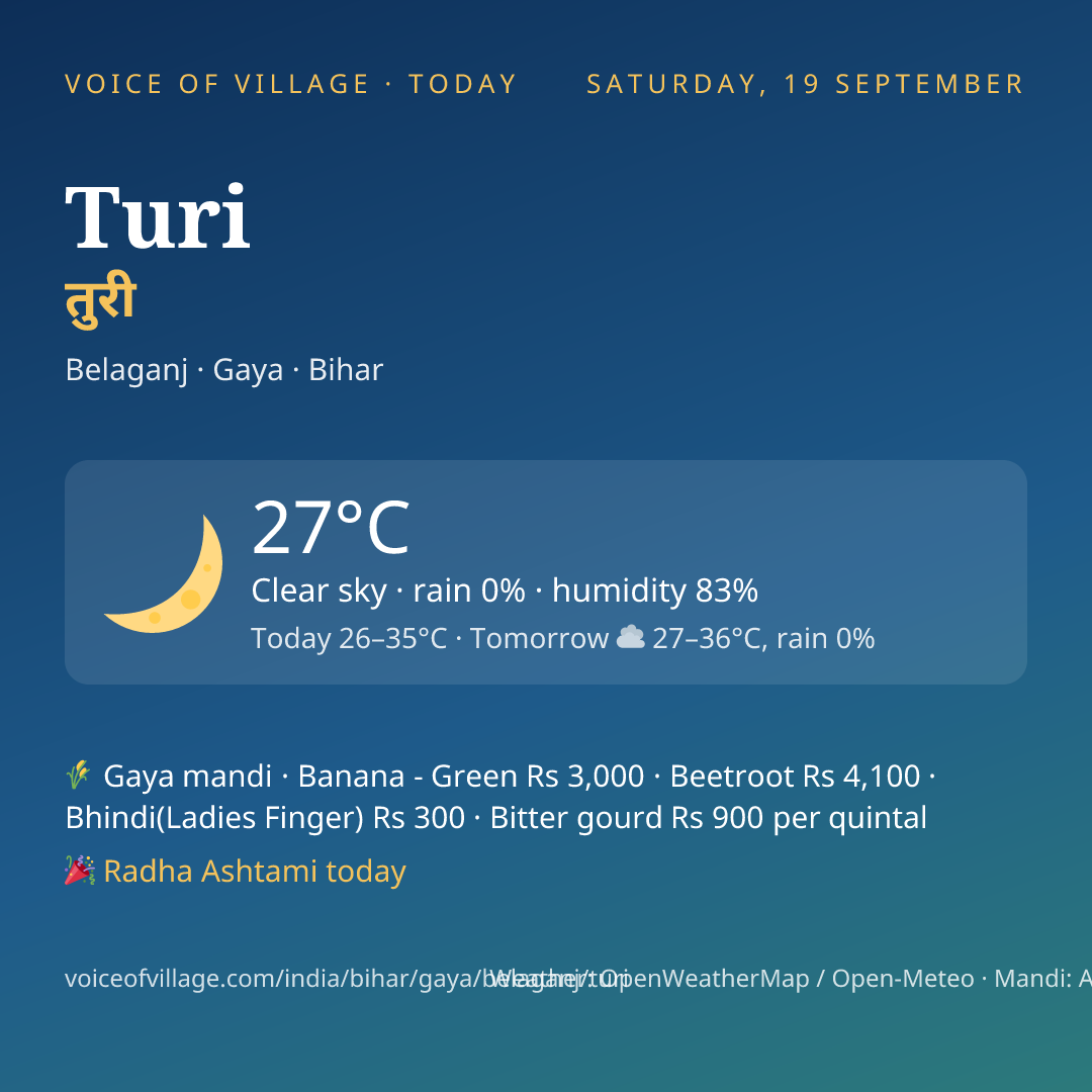 Turi today