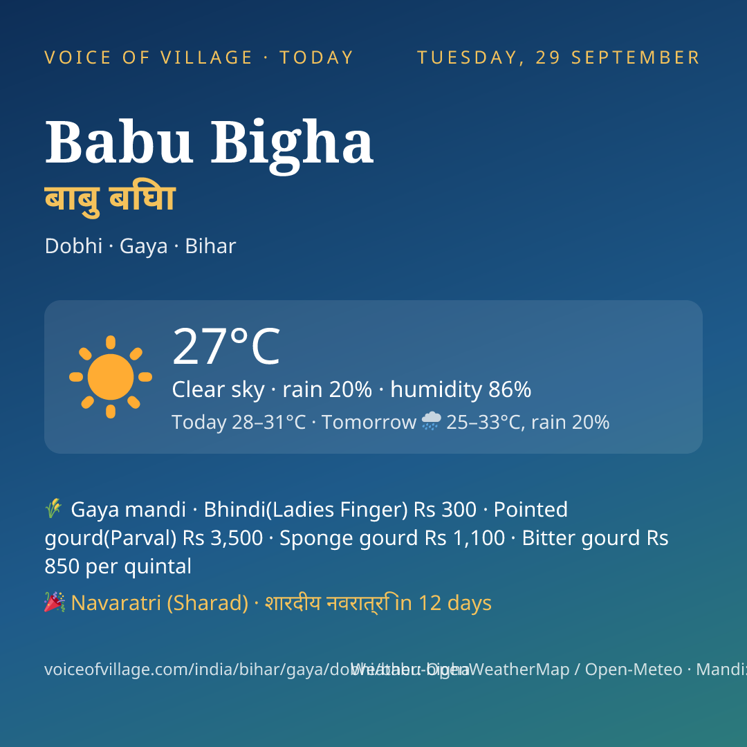 Babu Bigha today