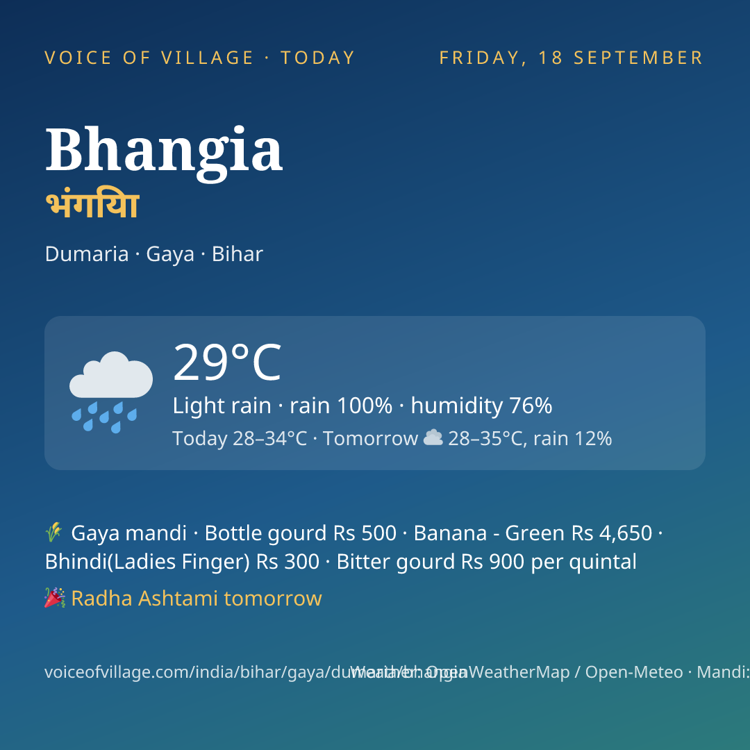 Bhangia today