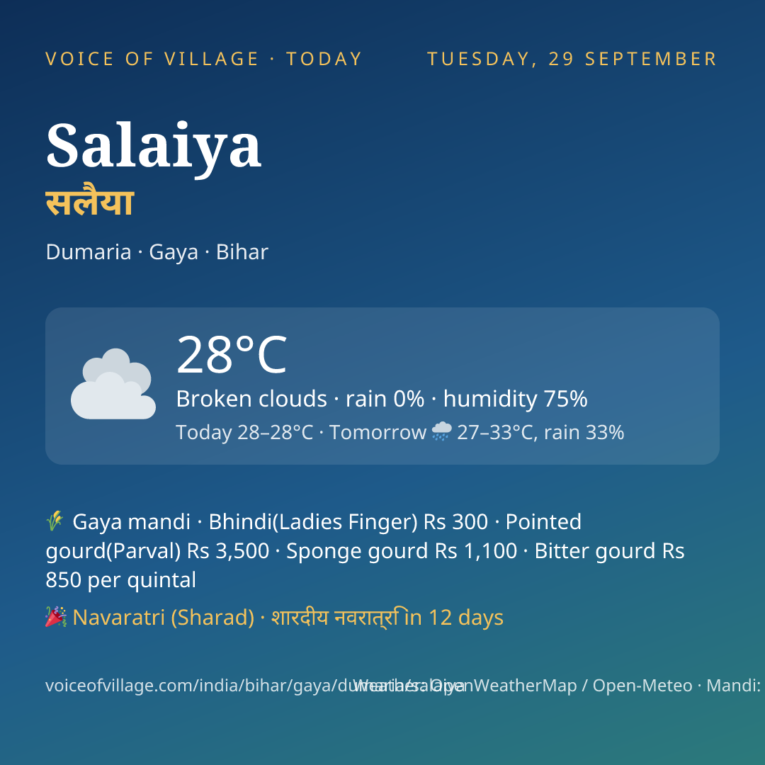 Salaiya today