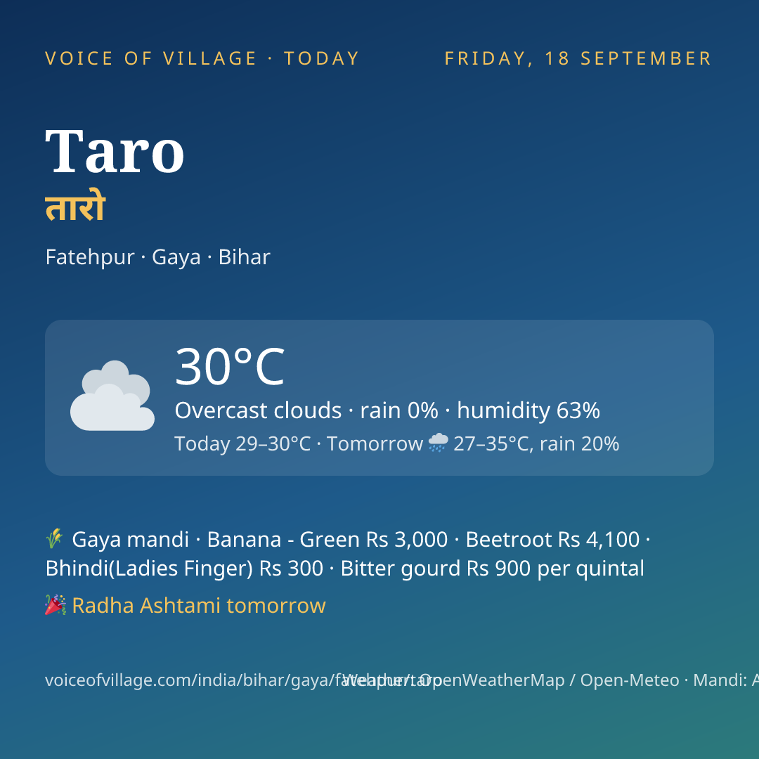 Taro today