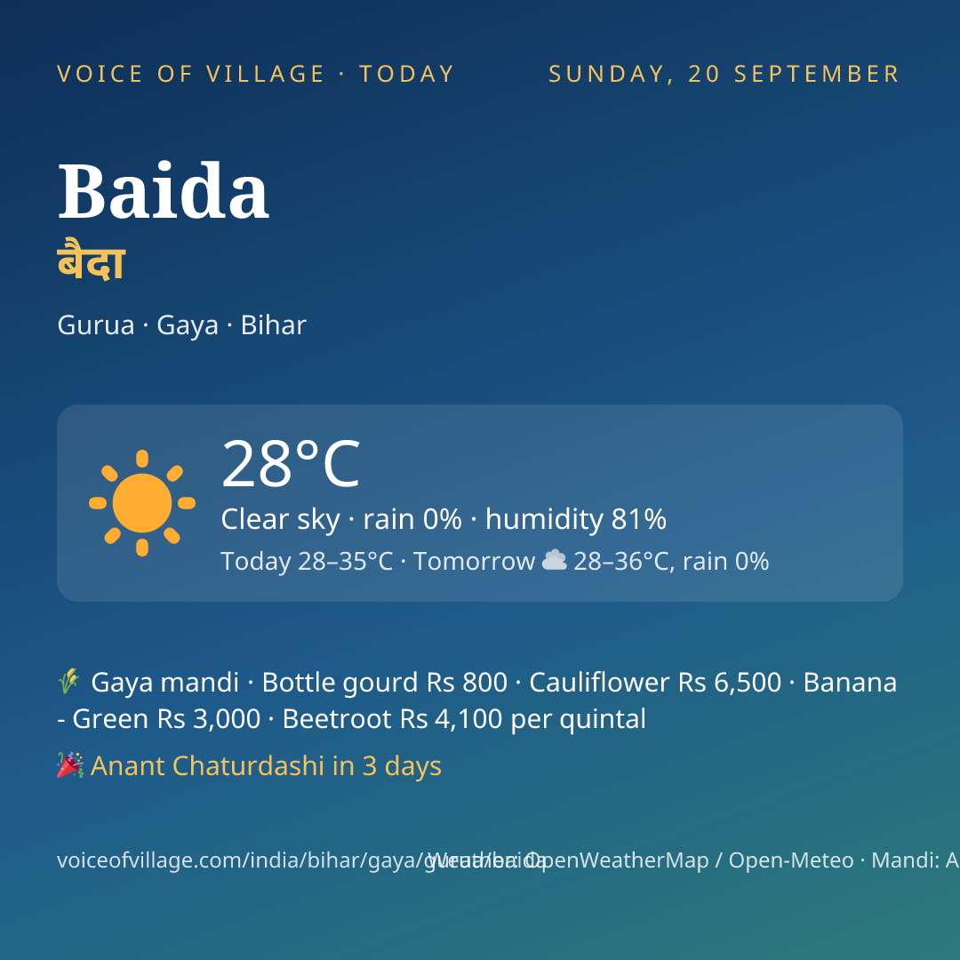 Baida today