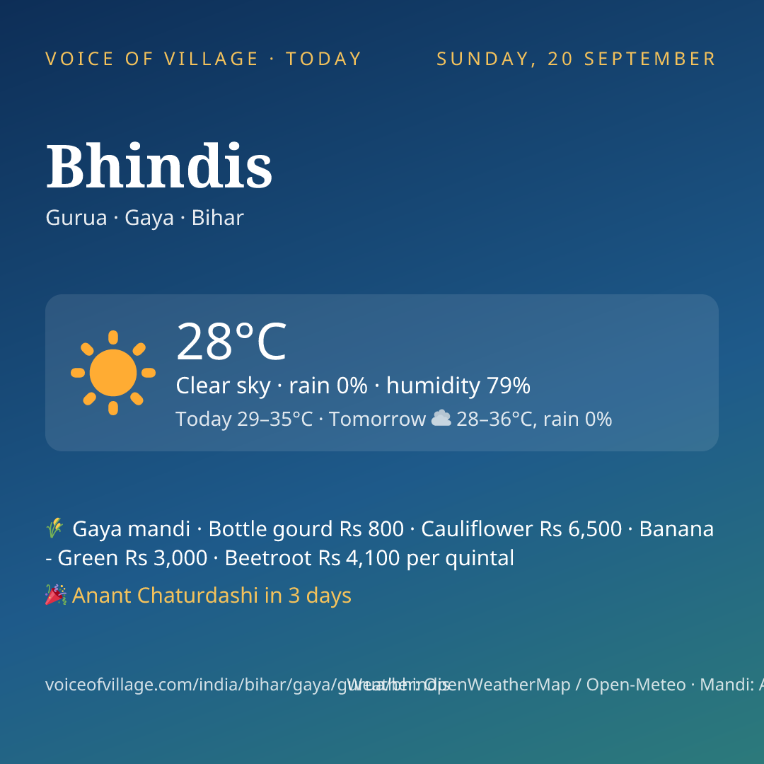 Bhindis today