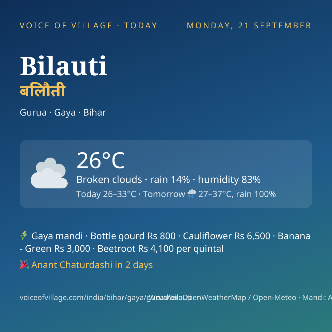 Bilauti today