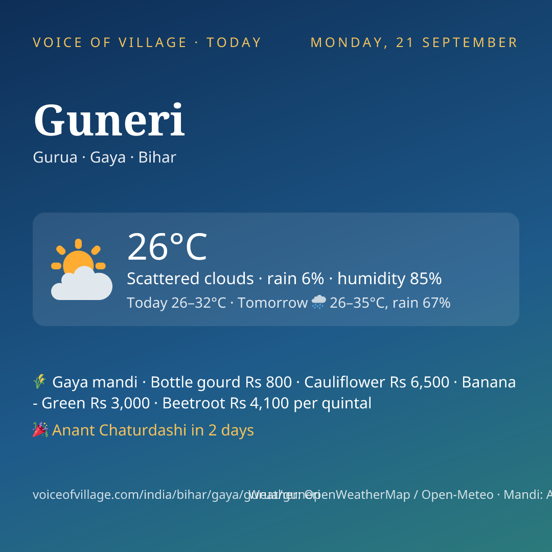 Guneri today