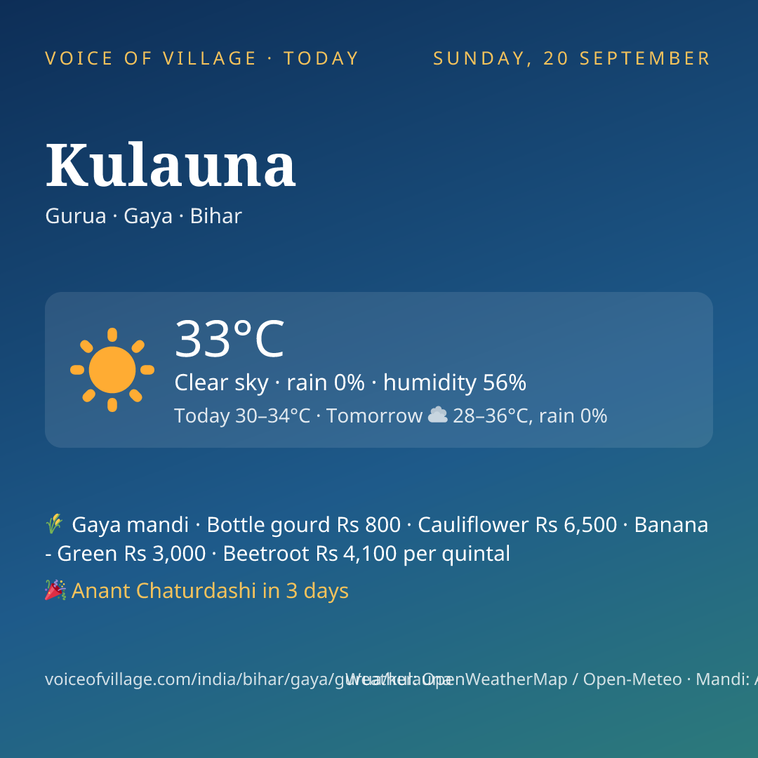 Kulauna today