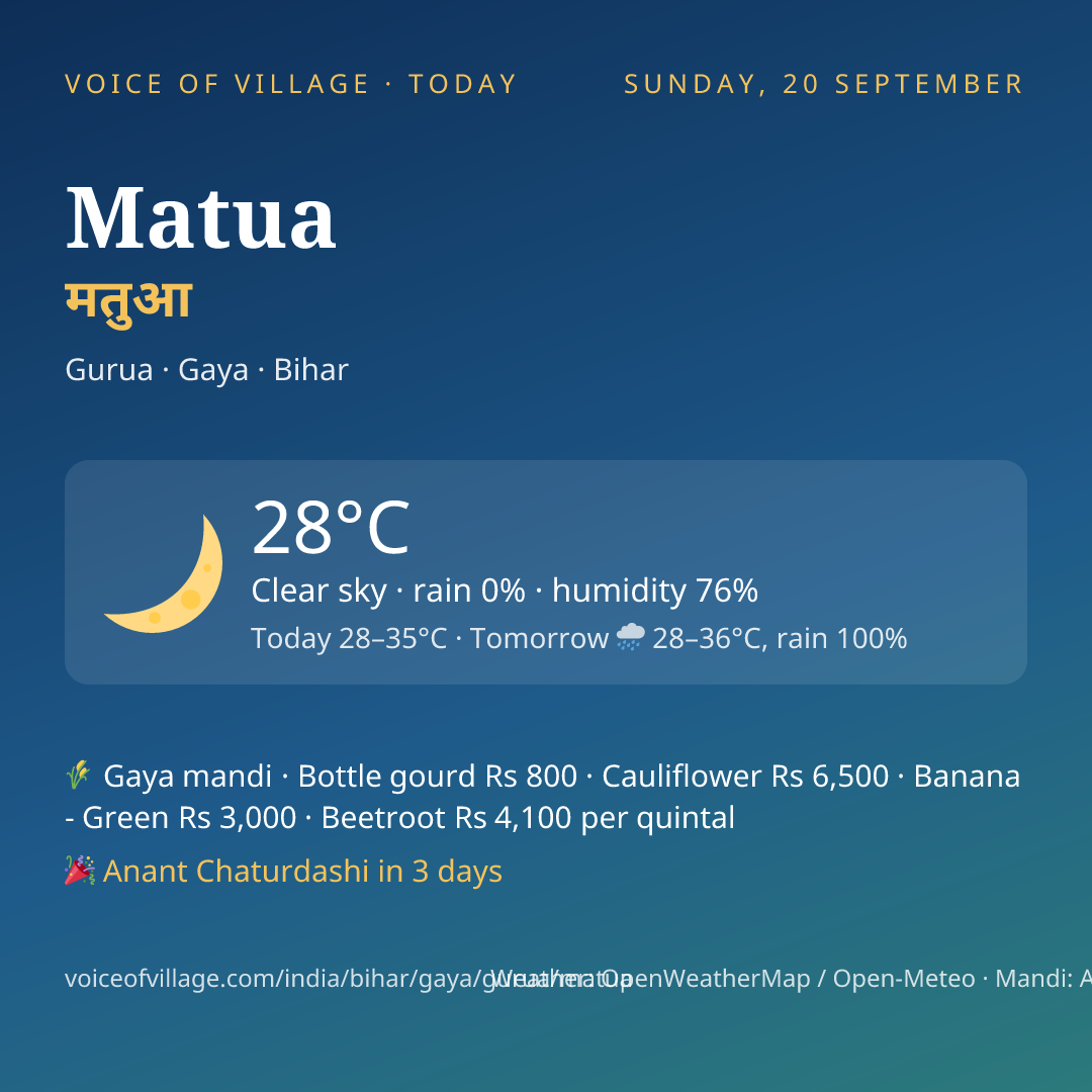 Matua today