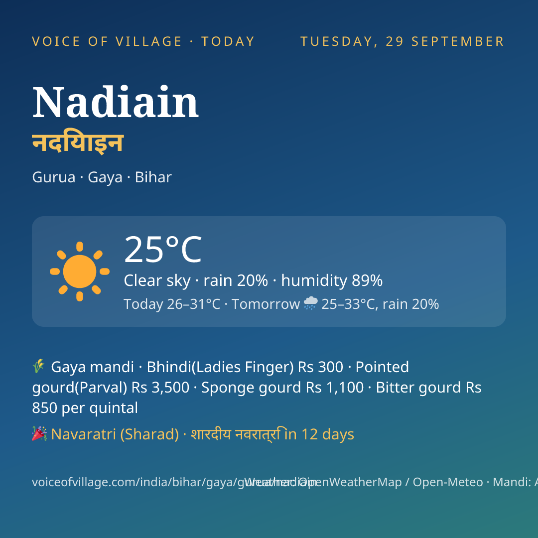 Nadiain today