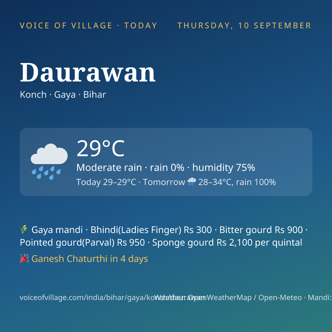 Daurawan today