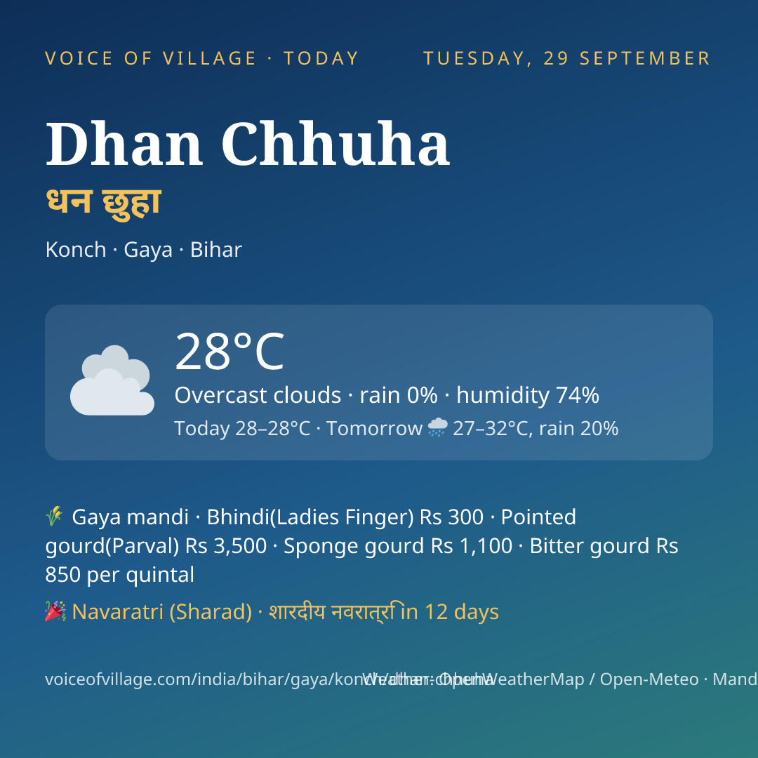 Dhan Chhuha today