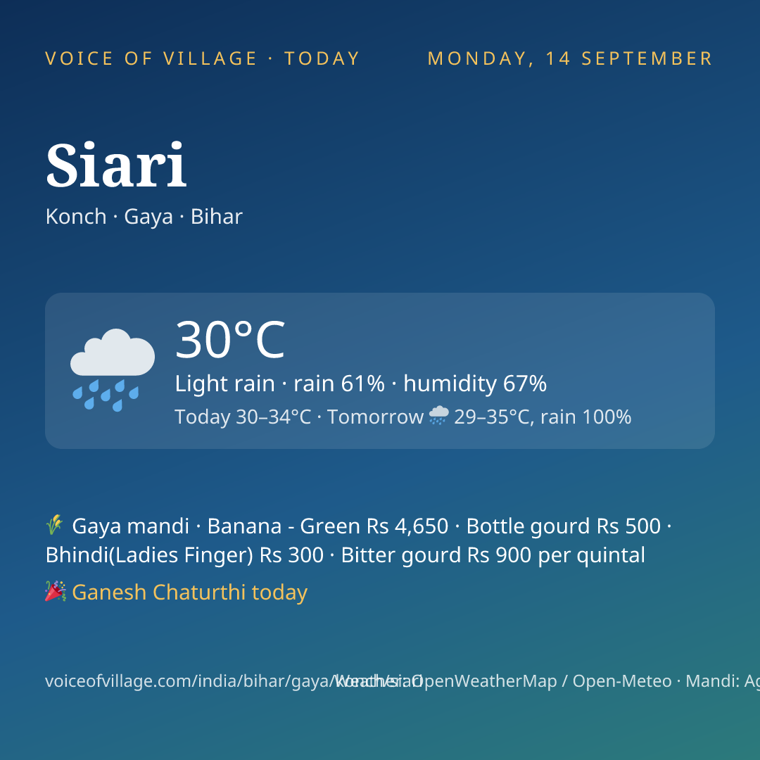 Siari today