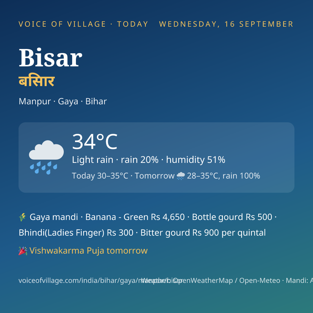 Bisar today