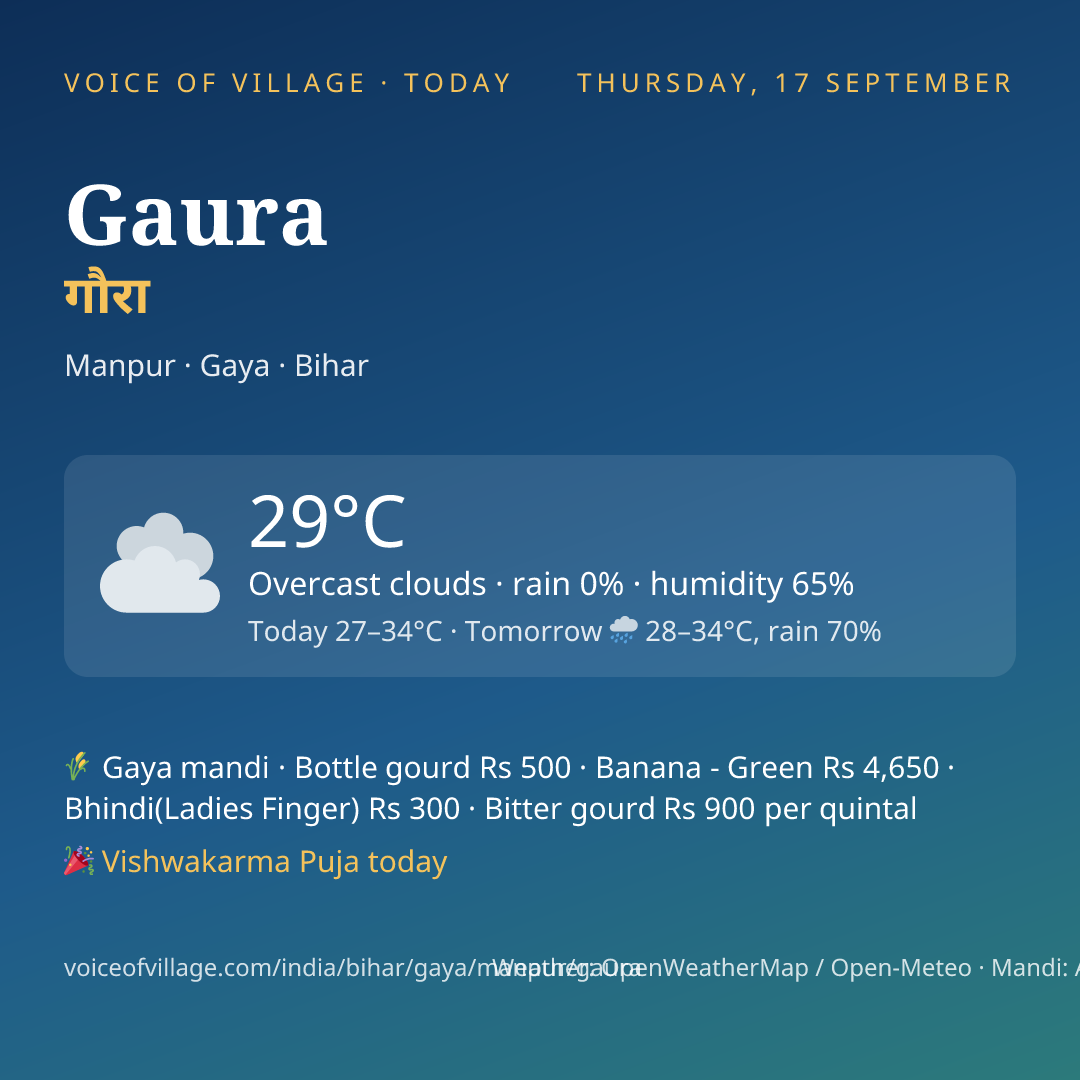 Gaura today