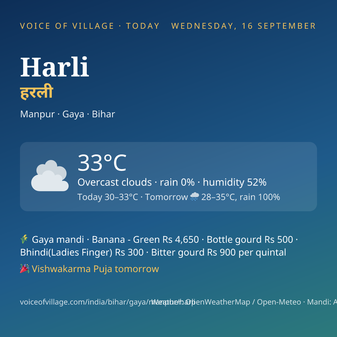 Harli today