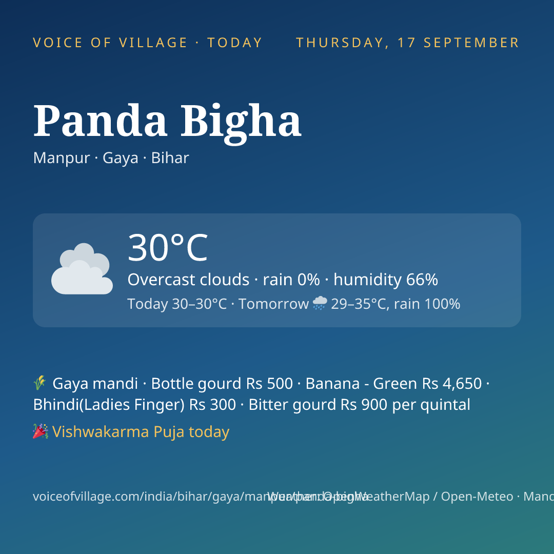 Panda Bigha today