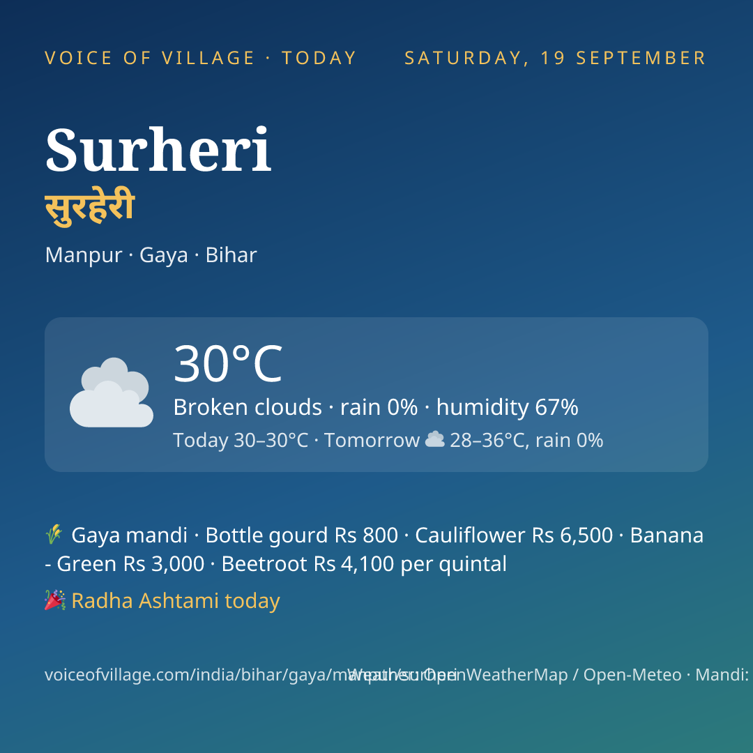 Surheri today