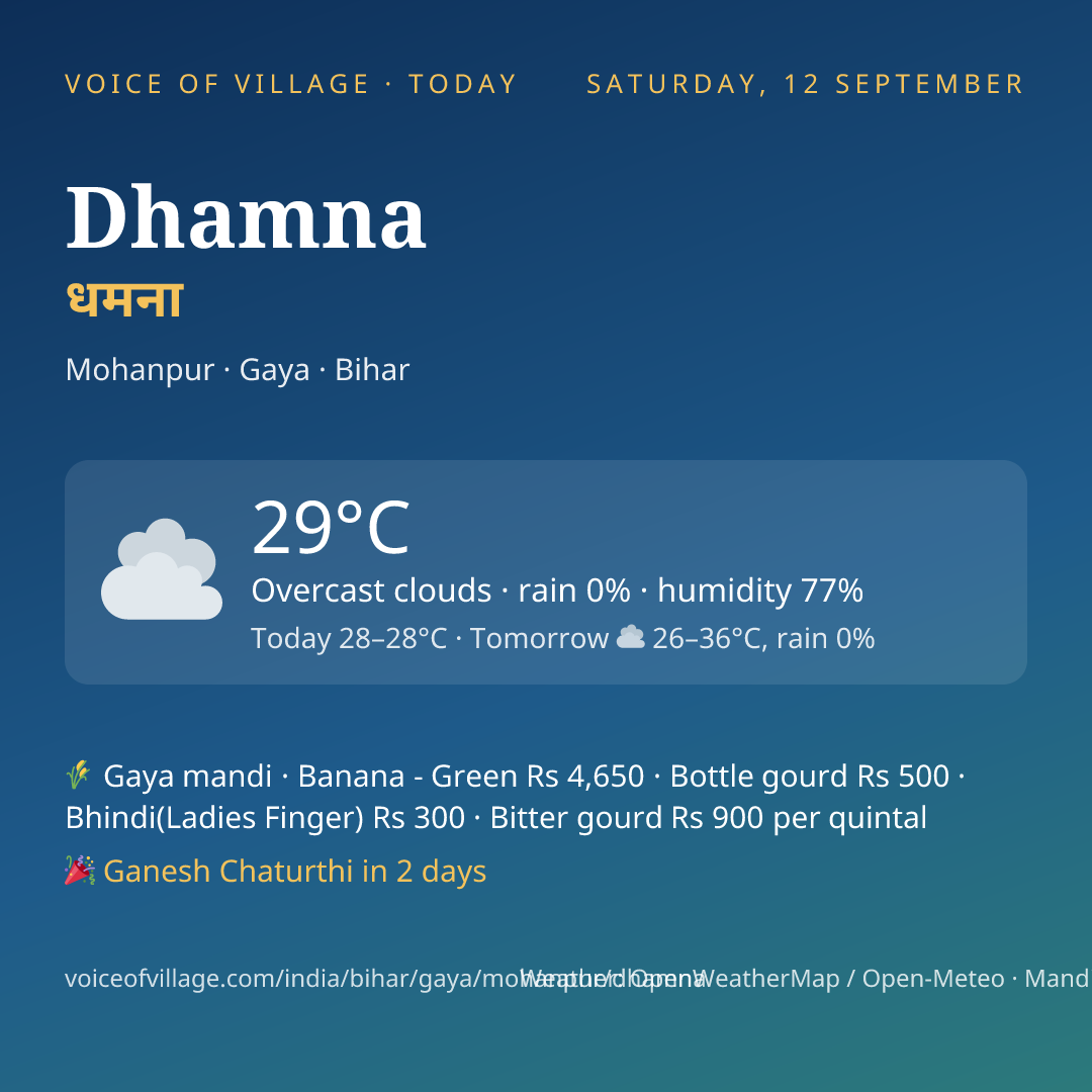 Dhamna today