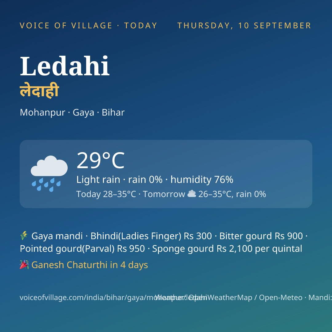 Ledahi today
