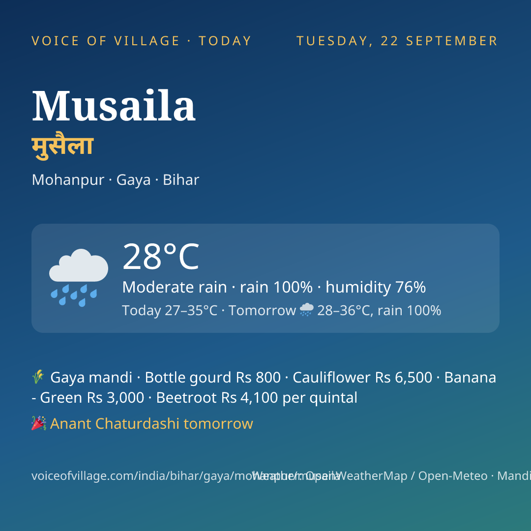 Musaila today