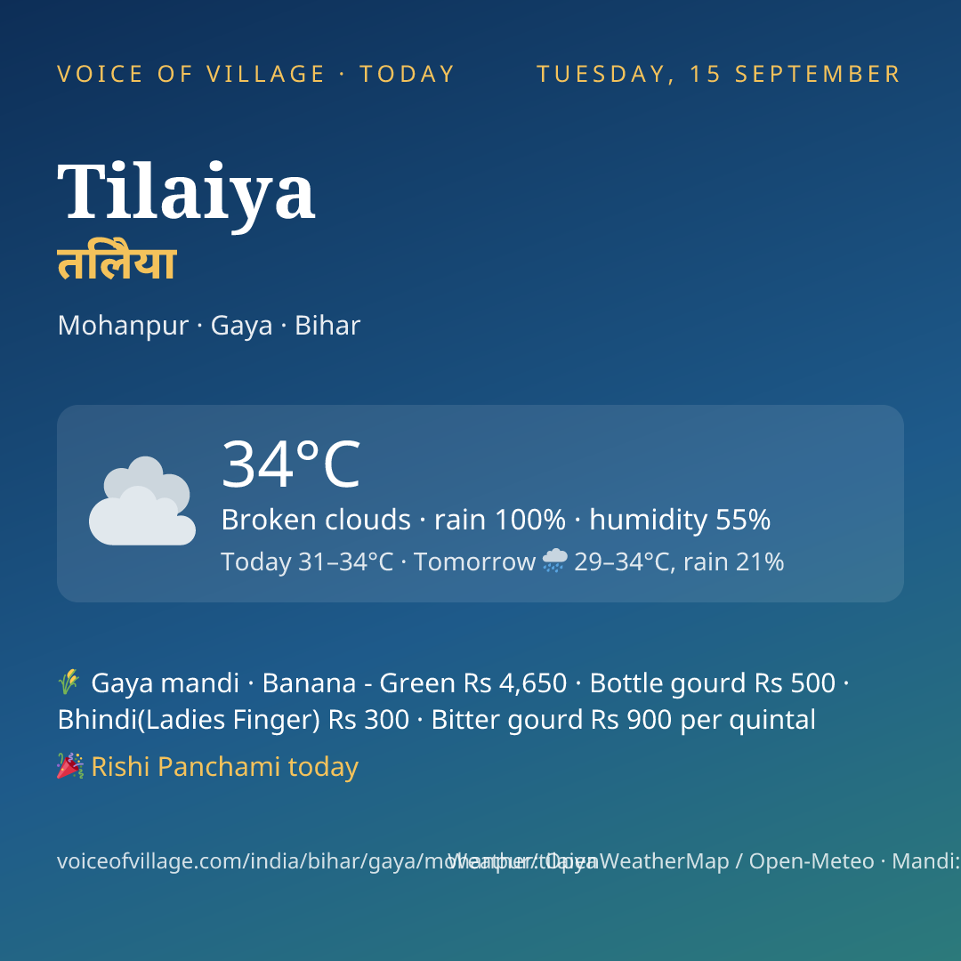 Tilaiya today