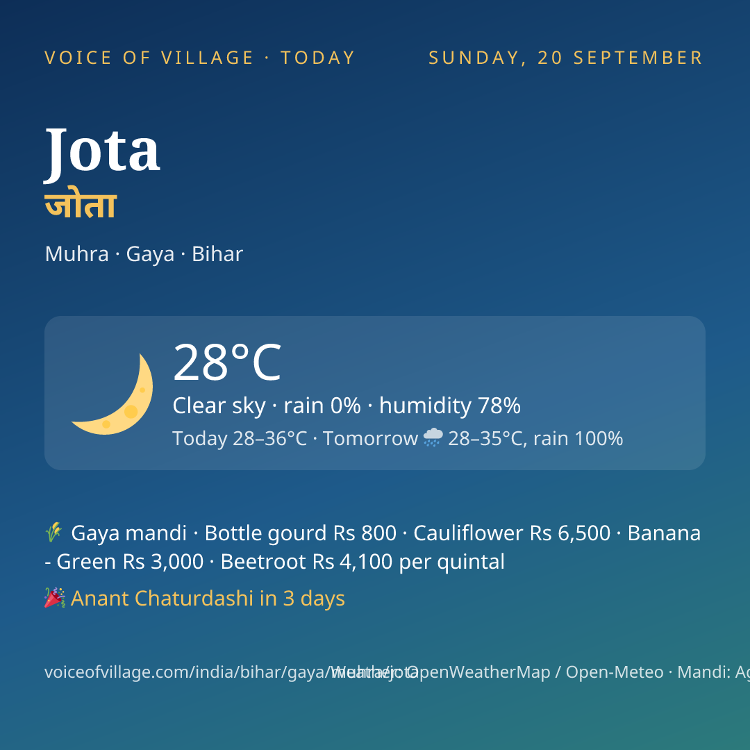 Jota today