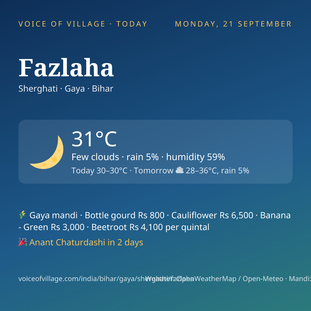 Fazlaha today