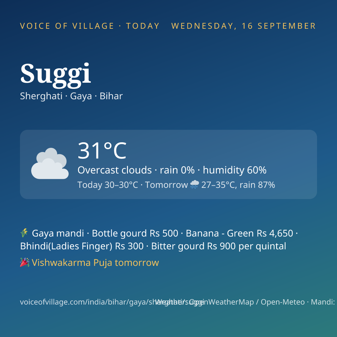 Suggi today