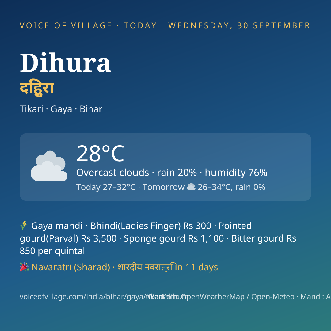 Dihura today