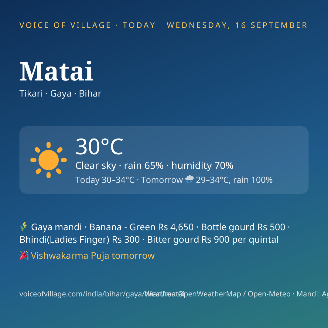 Matai today