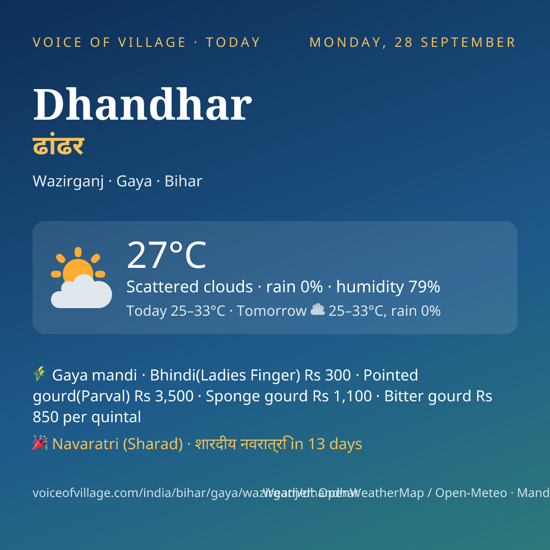 Dhandhar today