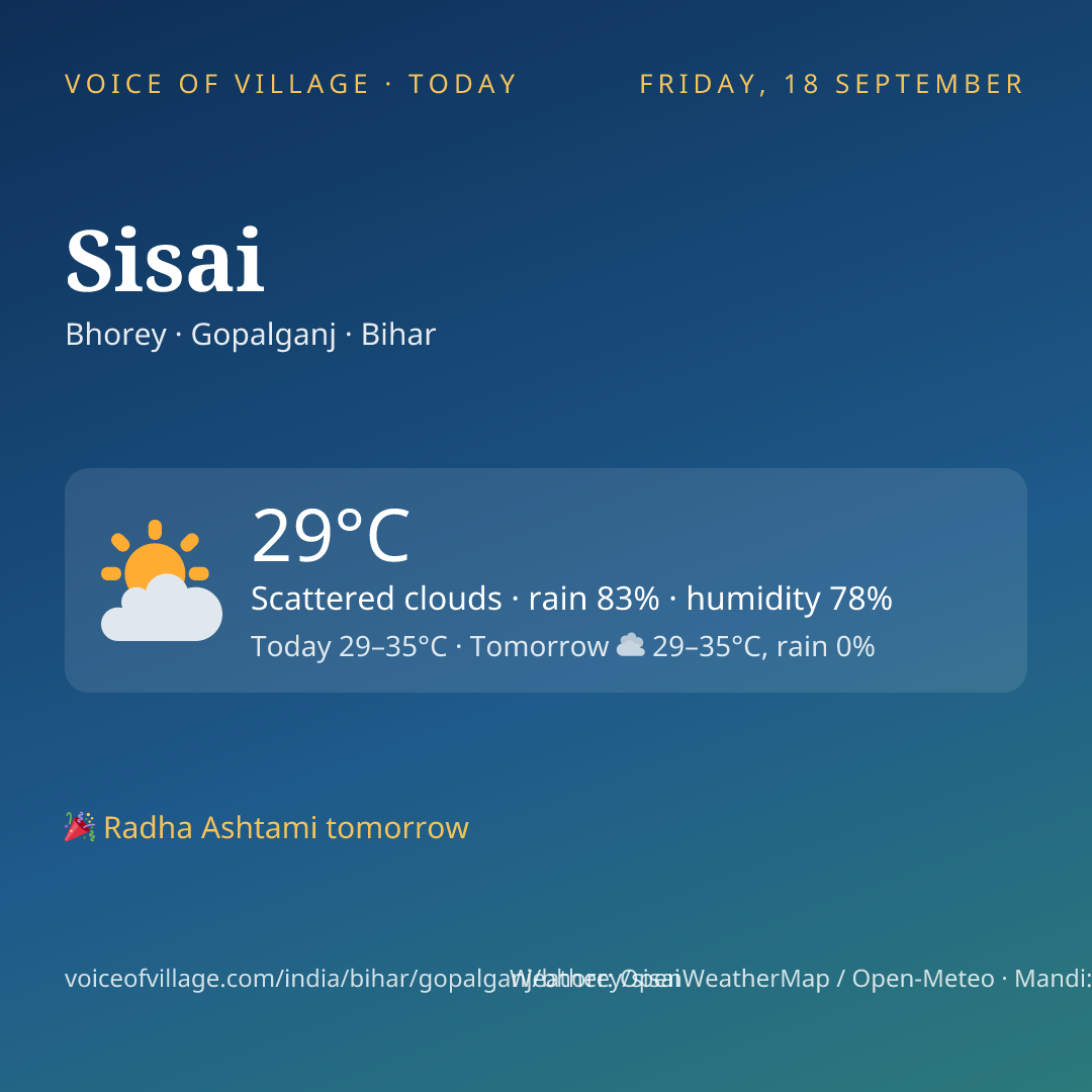 Sisai today