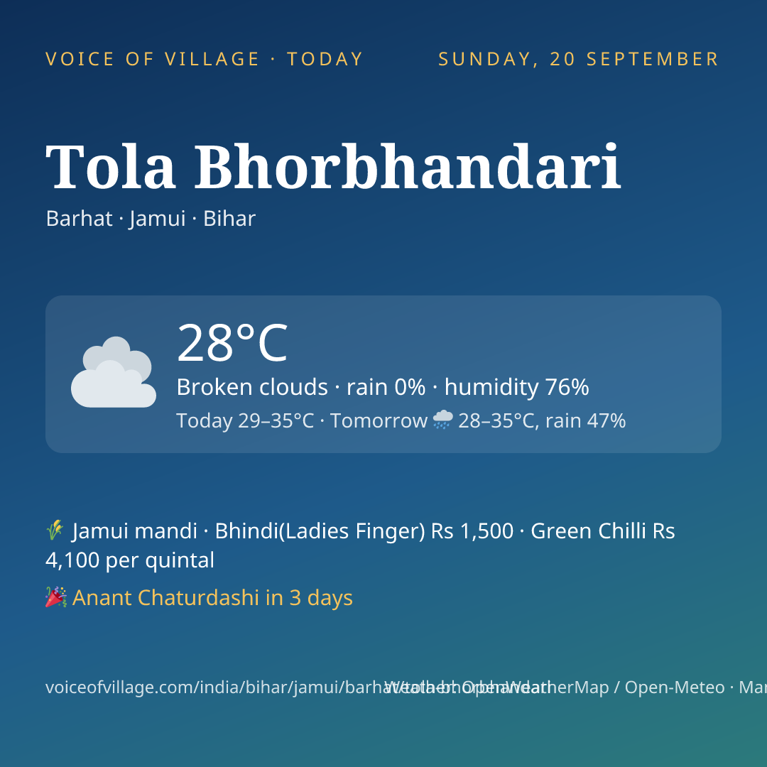Tola Bhorbhandari today