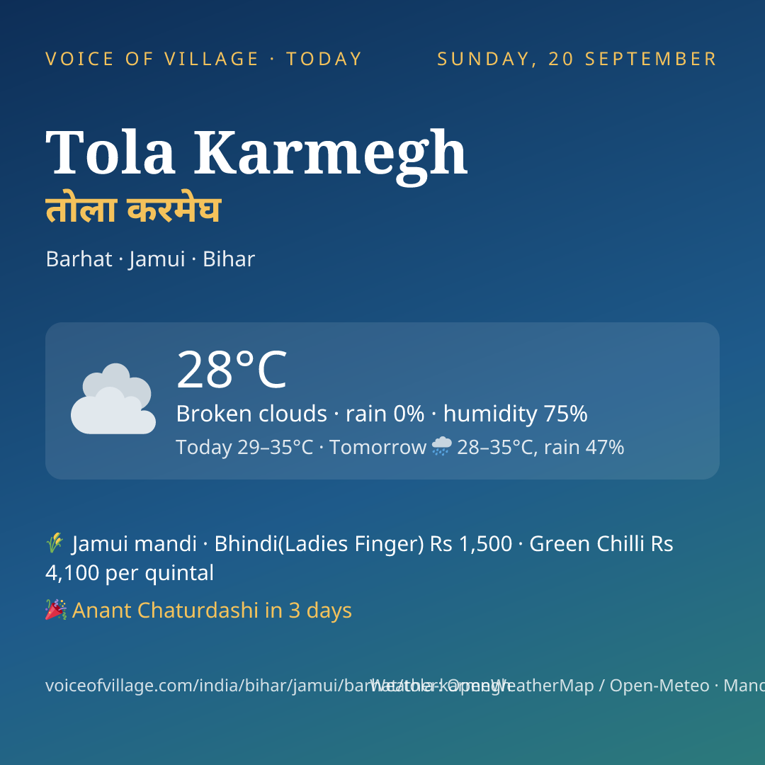 Tola Karmegh today