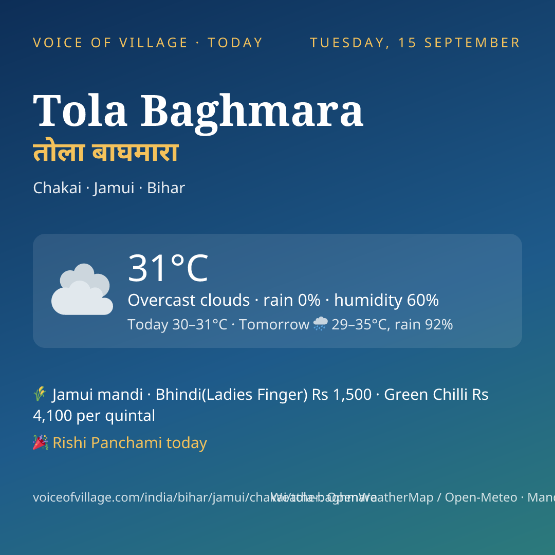 Tola Baghmara today
