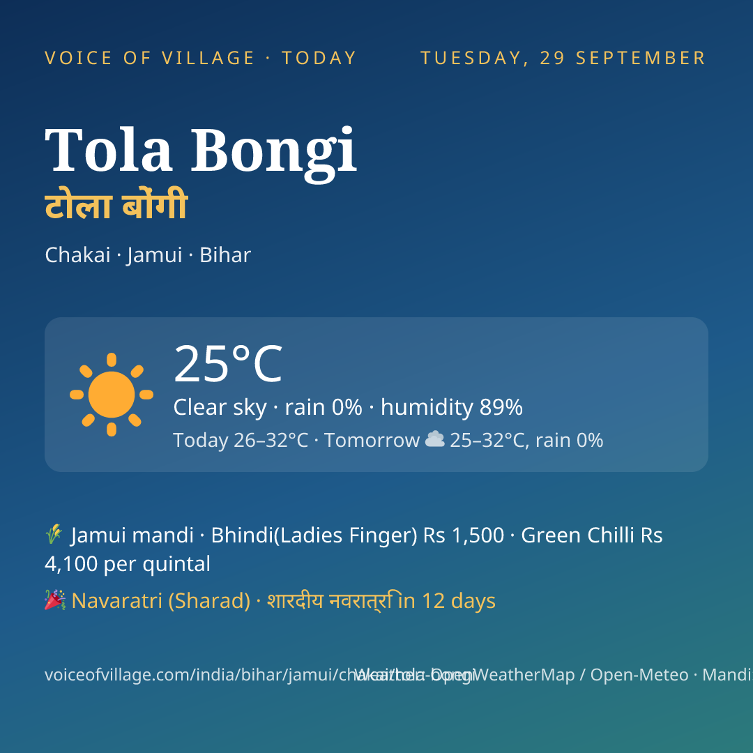 Tola Bongi today