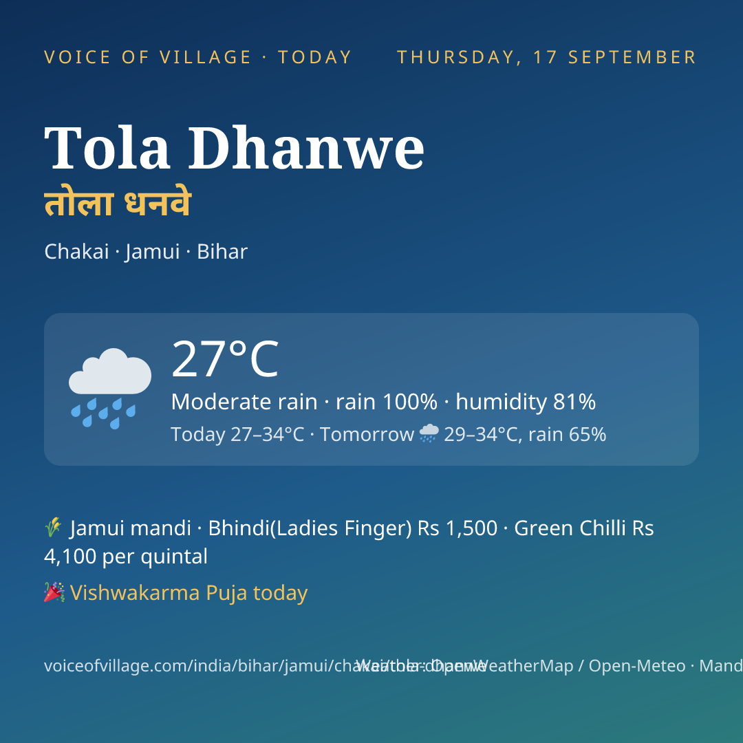 Tola Dhanwe today