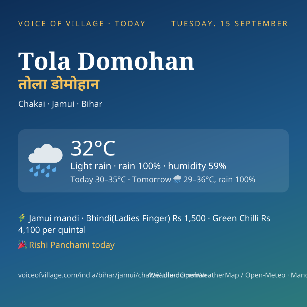 Tola Domohan today