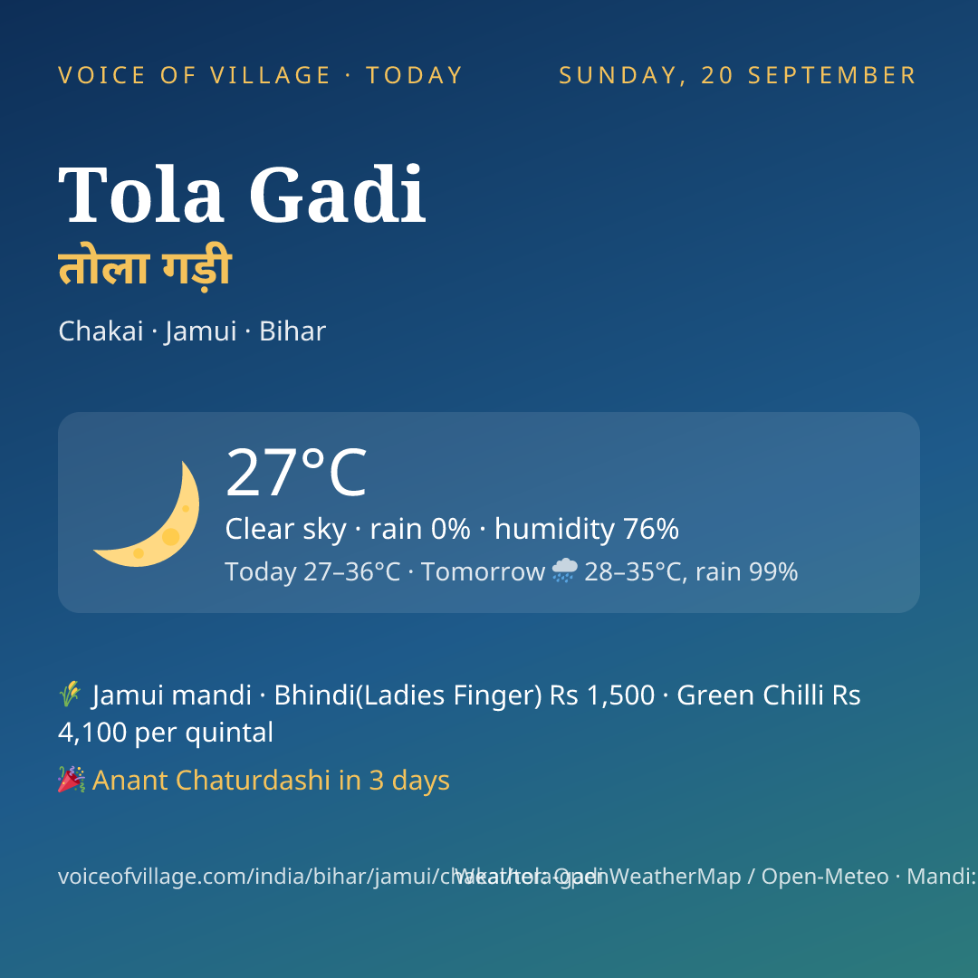 Tola Gadi today