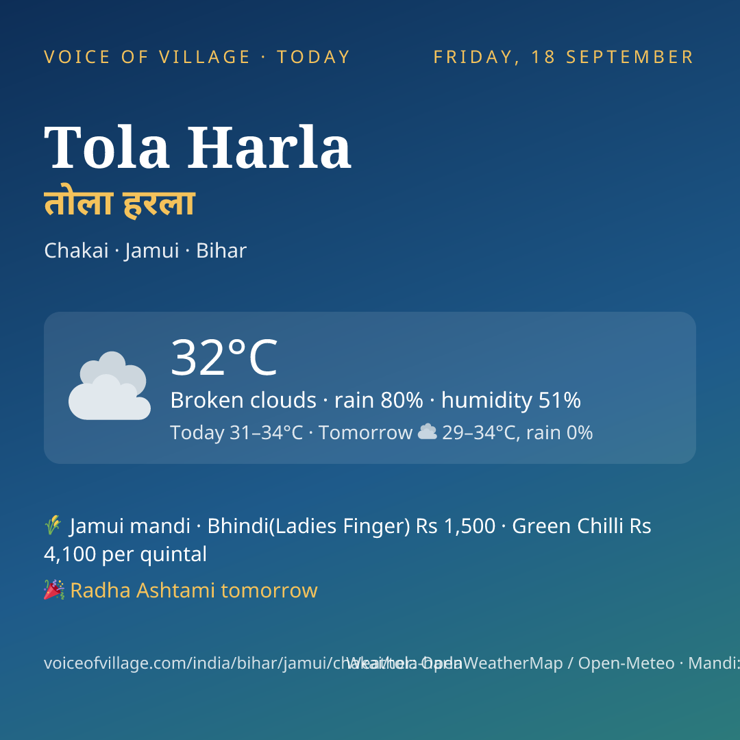 Tola Harla today