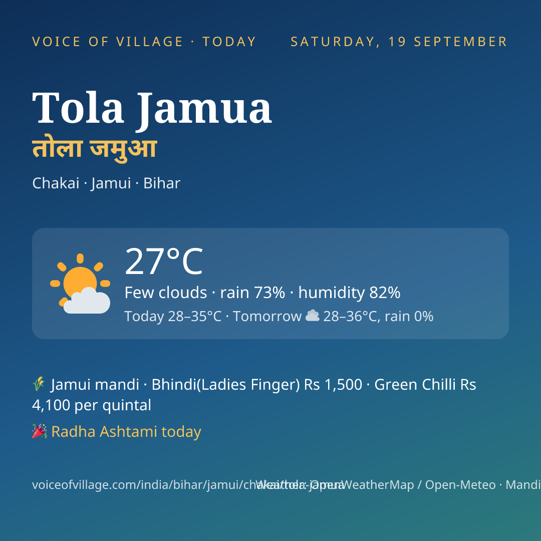Tola Jamua today