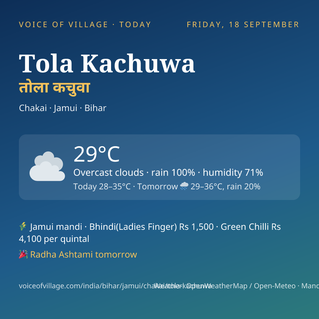 Tola Kachuwa today